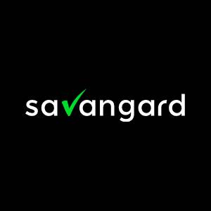 Usługi it dla firm - Systemy it - Savangard