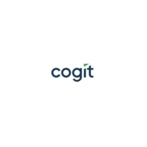 Budżetowanie w firmie - Usługi business intelligence - Cogit